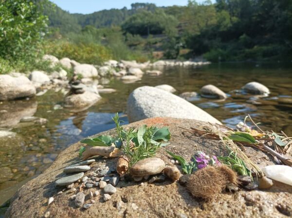 bain de nature rivière land art