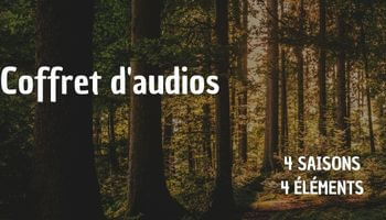 Audio évasions sylvestres L'Envolée Boisée
